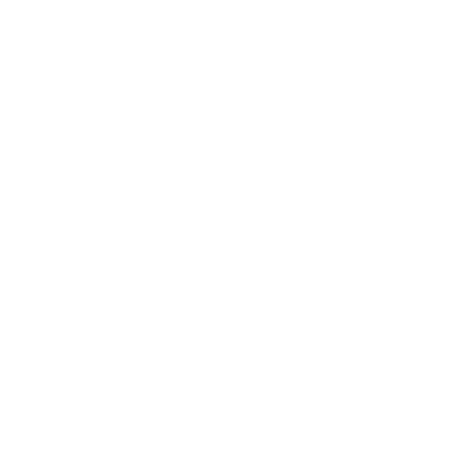Second Chance logo